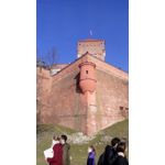 ZDJĘCIA Z TEGO TELEFONU
