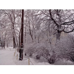 Zdjęcia użytkowników Alcatel One Touch X'Pop