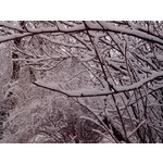 Zdjęcia użytkowników Alcatel One Touch X'Pop