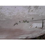 Zdjęcia użytkowników Alcatel OT 918 Hello Kitty