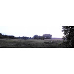 Zdjęcia użytkowników Alcatel OT 991D Smart Zdjęcia użytkowników Alcatel OT 991D Smart