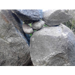 Zdjęcia użytkowników Alcatel OT 991D Smart Zdjęcia użytkowników Alcatel OT 991D Smart