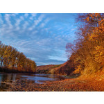 Zdjęcia użytkowników Alcatel OT 993D