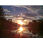 Zdjęcia użytkowników Alcatel OT 993D