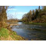 Zdjęcia użytkowników Alcatel OT 993D