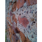 Zdjęcia użytkowników Alcatel OT 993D