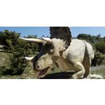 Zdjęcia użytkowników Allview A9 Plus