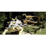 Zdjęcia użytkowników Allview A9 Plus