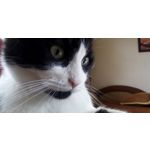 Zdjęcia użytkowników Allview A9 Plus