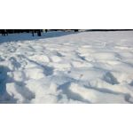 ZDJĘCIA Z TEGO TELEFONU