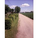 Zdjęcia użytkowników Allview H3 Join