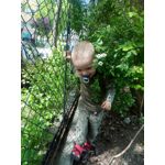 Zdjęcia użytkowników Allview P8 Energy Pro Zdjęcia użytkowników Allview P8 Energy Pro