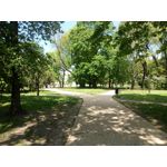 Zdjęcia użytkowników Allview P8 Energy Pro Zdjęcia użytkowników Allview P8 Energy Pro