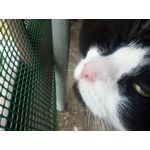 Zdjęcia użytkowników Allview P8 Energy Pro Zdjęcia użytkowników Allview P8 Energy Pro