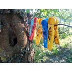 Zdjęcia użytkowników Allview P8 Energy Pro Zdjęcia użytkowników Allview P8 Energy Pro