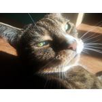 Zdjęcia użytkowników Allview P8 Energy Pro Zdjęcia użytkowników Allview P8 Energy Pro