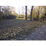 Zdjęcia użytkowników Allview V1 Viper I