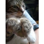 Zdjęcia użytkowników Allview X2 Soul Lite