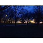ZDJĘCIA Z TEGO TELEFONU