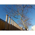 Zdjęcia użytkowników Allview X4 Soul Zdjęcia użytkowników Allview X4 Soul