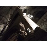 Zdjęcia użytkowników Allview X4 Soul Zdjęcia użytkowników Allview X4 Soul