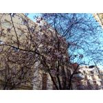 Zdjęcia użytkowników Allview X4 Soul Zdjęcia użytkowników Allview X4 Soul