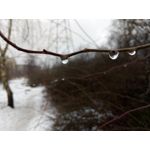 Zdjęcia użytkowników Allview X4 Soul Zdjęcia użytkowników Allview X4 Soul