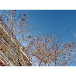 Zdjęcia użytkowników Allview X4 Soul Zdjęcia użytkowników Allview X4 Soul