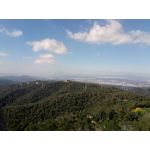 Zdjęcia użytkowników Allview X4 Soul Zdjęcia użytkowników Allview X4 Soul