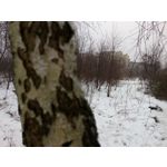 Zdjęcia użytkowników Allview X4 Soul Zdjęcia użytkowników Allview X4 Soul