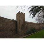 Zdjęcia użytkowników Allview X4 Soul Zdjęcia użytkowników Allview X4 Soul