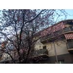 Zdjęcia użytkowników Allview X4 Soul Zdjęcia użytkowników Allview X4 Soul