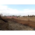 ZDJĘCIA Z TEGO TELEFONU ZDJĘCIA Z TEGO TELEFONU