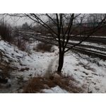 Zdjęcia użytkowników Allview X4 Soul Zdjęcia użytkowników Allview X4 Soul