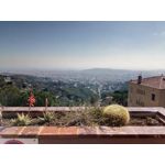 Zdjęcia użytkowników Allview X4 Soul Zdjęcia użytkowników Allview X4 Soul