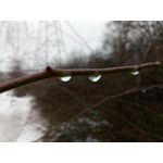 Zdjęcia użytkowników Allview X4 Soul Zdjęcia użytkowników Allview X4 Soul