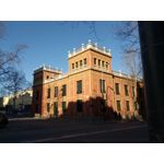 Zdjęcia użytkowników Allview X4 Soul Zdjęcia użytkowników Allview X4 Soul