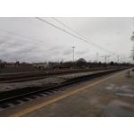 Zdjęcia użytkowników Allview X4 Soul Zdjęcia użytkowników Allview X4 Soul