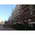 Zdjęcia użytkowników Allview X4 Soul Zdjęcia użytkowników Allview X4 Soul