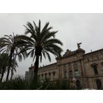 Zdjęcia użytkowników Allview X4 Soul Zdjęcia użytkowników Allview X4 Soul