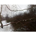 Zdjęcia użytkowników Allview X4 Soul Zdjęcia użytkowników Allview X4 Soul