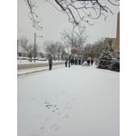 Zdjęcia użytkowników Amazon Fire HD 8 2022