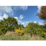 Zdjęcia użytkowników Apple iPhone 11 Pro Max Zdjęcia użytkowników Apple iPhone 11 Pro Max