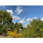 Zdjęcia użytkowników Apple iPhone 11 Pro Max Zdjęcia użytkowników Apple iPhone 11 Pro Max