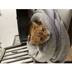 ZDJĘCIA Z TEGO TELEFONU