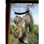 Zdjęcia użytkowników Apple iPhone 13