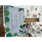 Zdjęcia użytkowników Apple iPhone 13