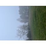 Zdjęcia użytkowników Apple iPhone 13