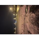 Zdjęcia użytkowników Apple iPhone 13