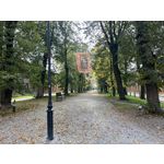 Zdjęcia użytkowników Apple iPhone 14 Pro Max